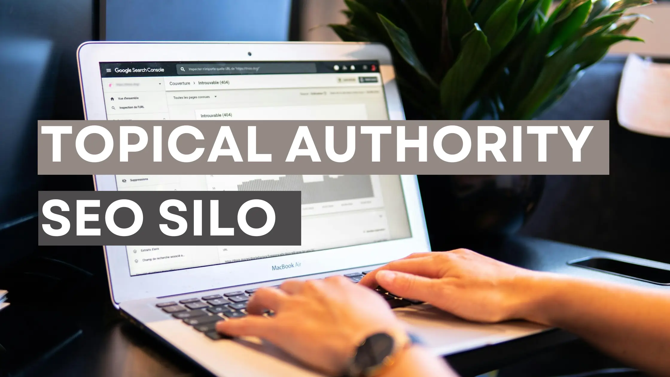 Topical Authority SEO Silos For Websites